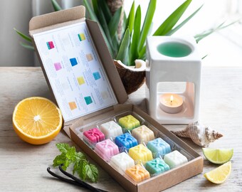 Citrus & Summer Wax Melts Selection Box with Recipe Card Wax Melt Snap Bars 100% Natural soy wax tea light candle oil burner home fragrance