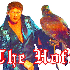 David Hasselhoff &quot;THE HOFF&quot; T-Shirt / Baywatch Knight Rider Young and the Restless Looking For Freedom Funny Perfect Weird Gift Secret Santa