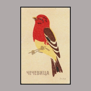 URSS Comune Rosefinch T-Shirt / Birder Birding Bird Watching Shirt Match Box Art Soviet Modernism Thrift Store Haul 1960s Design Russia Fun