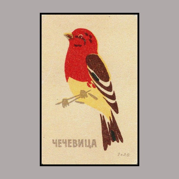 USSR Common Rosefinch T-Shirt / Birder Birding Bird Watching Shirt Match Box Art Soviet Modernism Thrift Store Haul 1960s Design Russia Fun