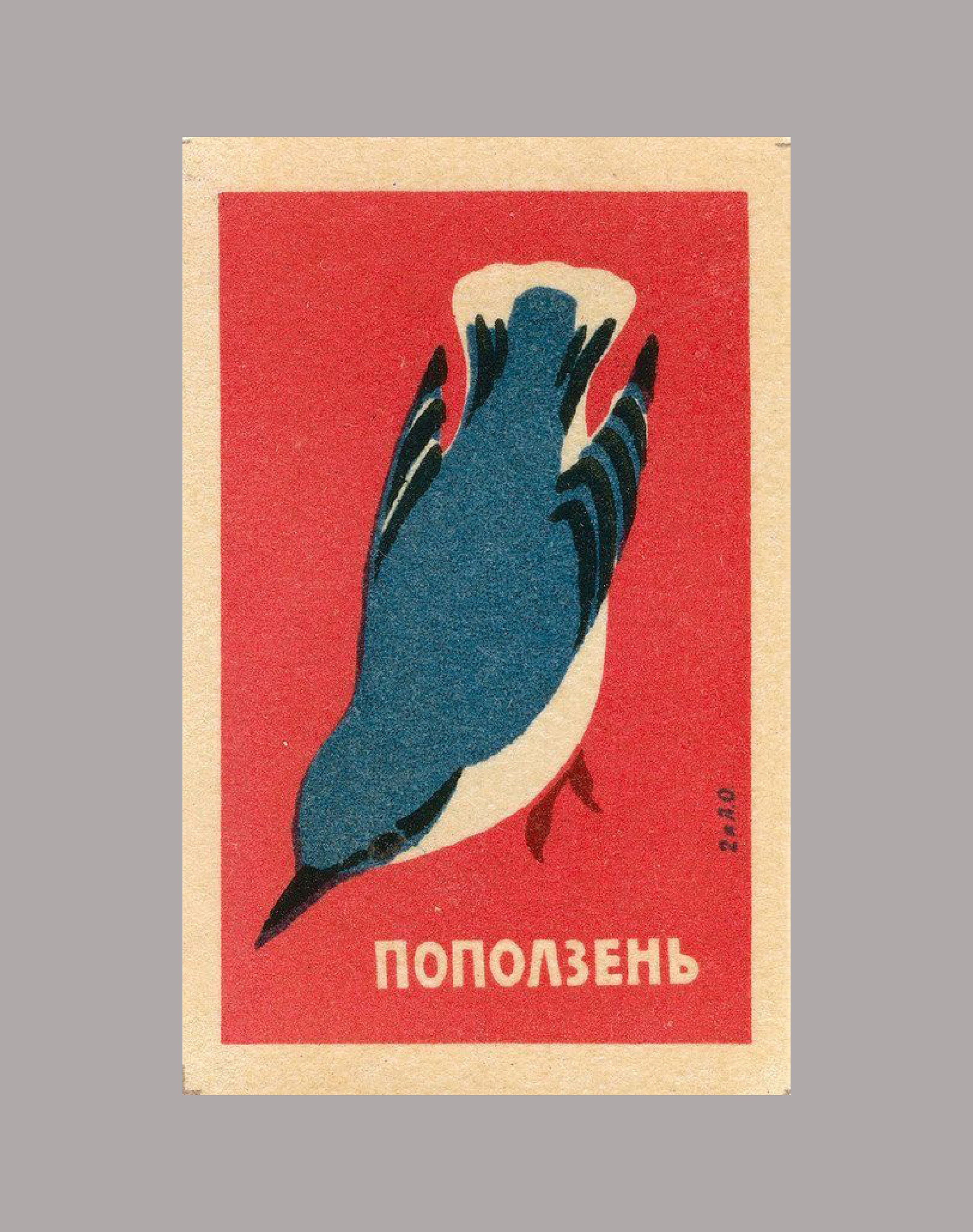 nuthatch shirt