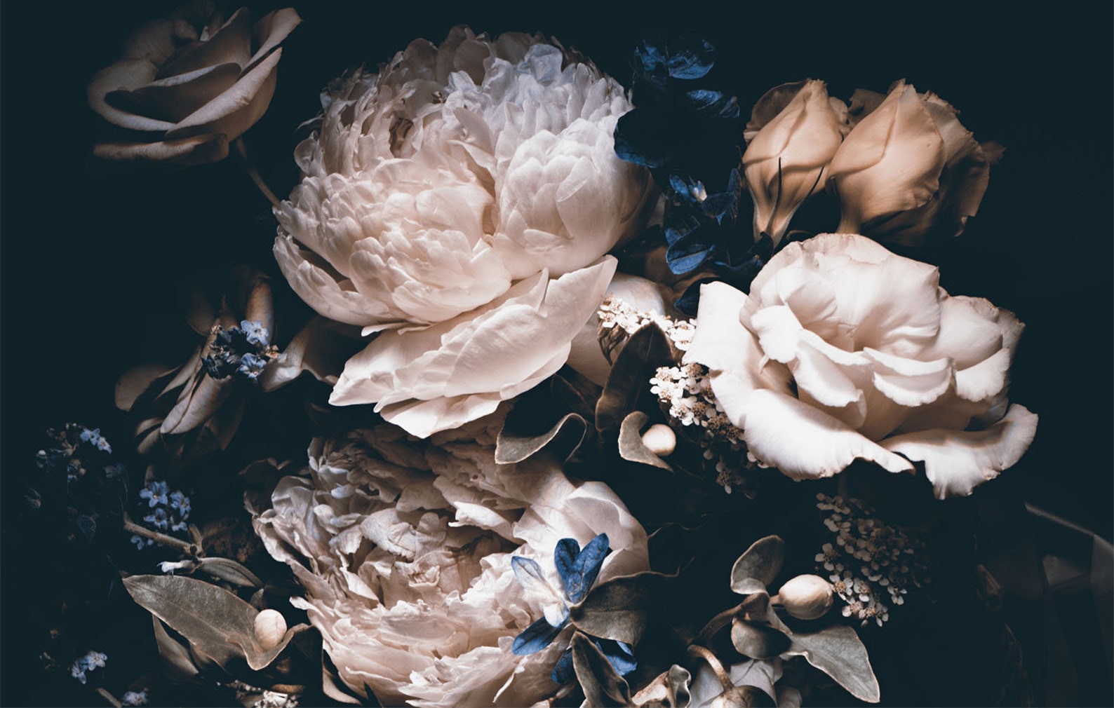 Dark floral wallpaper vintage rose peony bouquet wall paper | Etsy