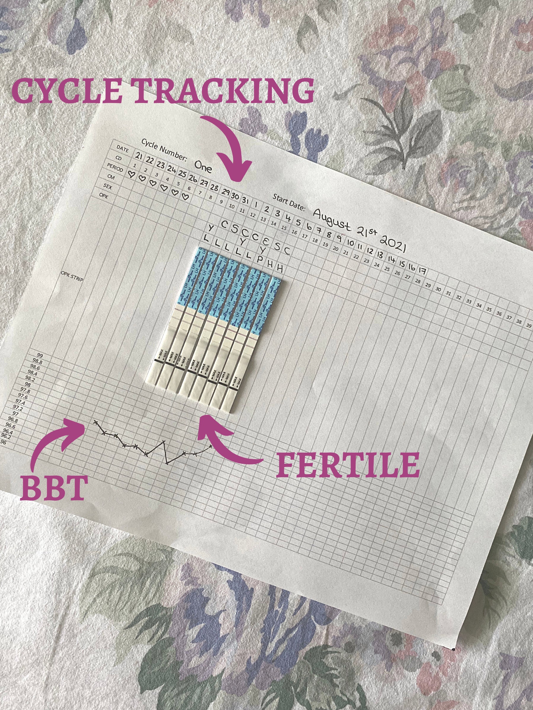 Natural Family Planning Printable Know Your Cycle & Prevent Pregnancy