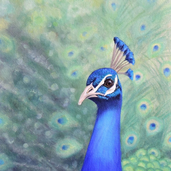 Peacock Painting Original Oil Painting of Peacock Art for Her Peacock painting by Sara Bach Art Peacock Decor for Home Painting Peacock head