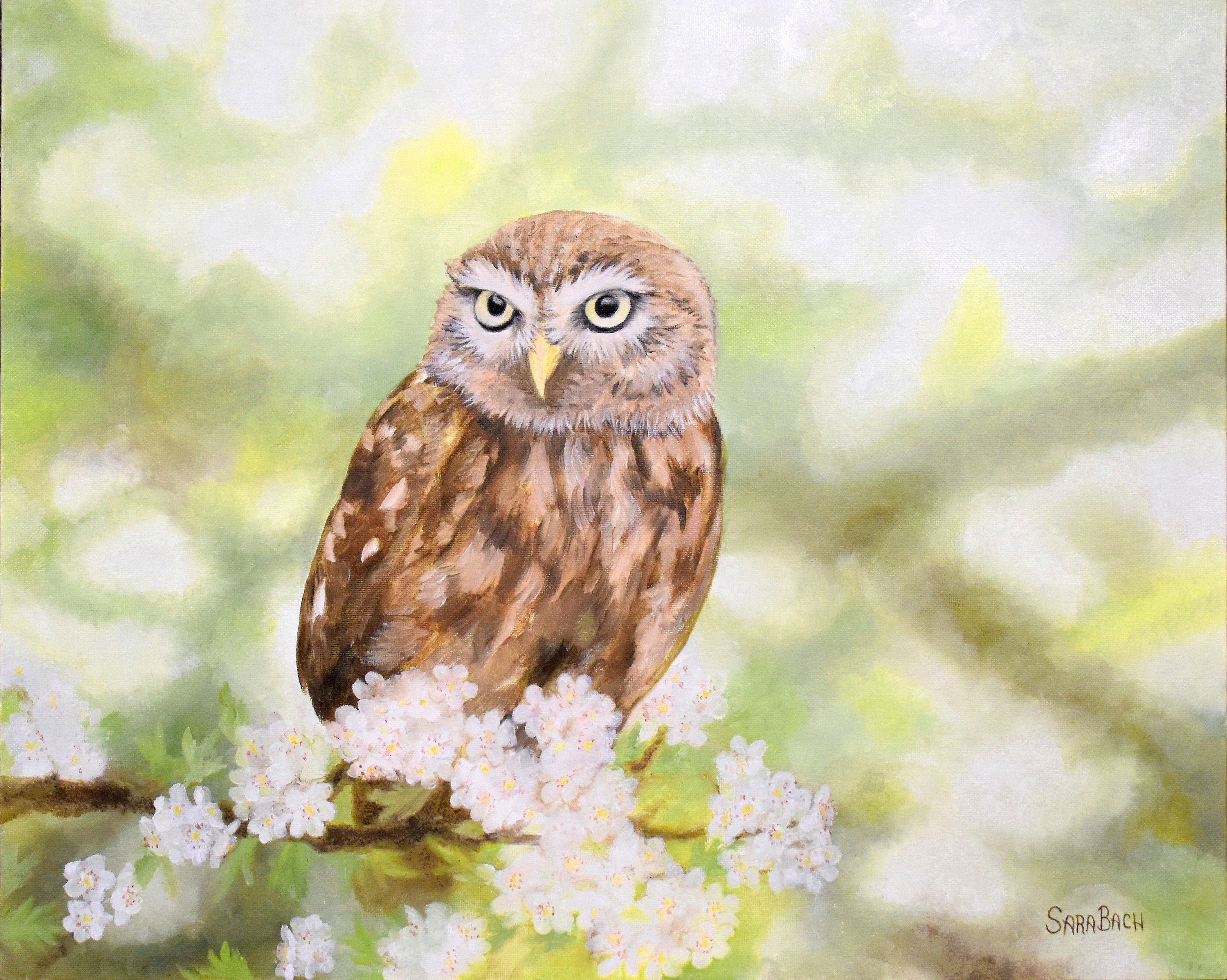 Original Oil Painting, Owl on Blossom Branch, Wildlife Bird Art, 16x20 Canvas Board