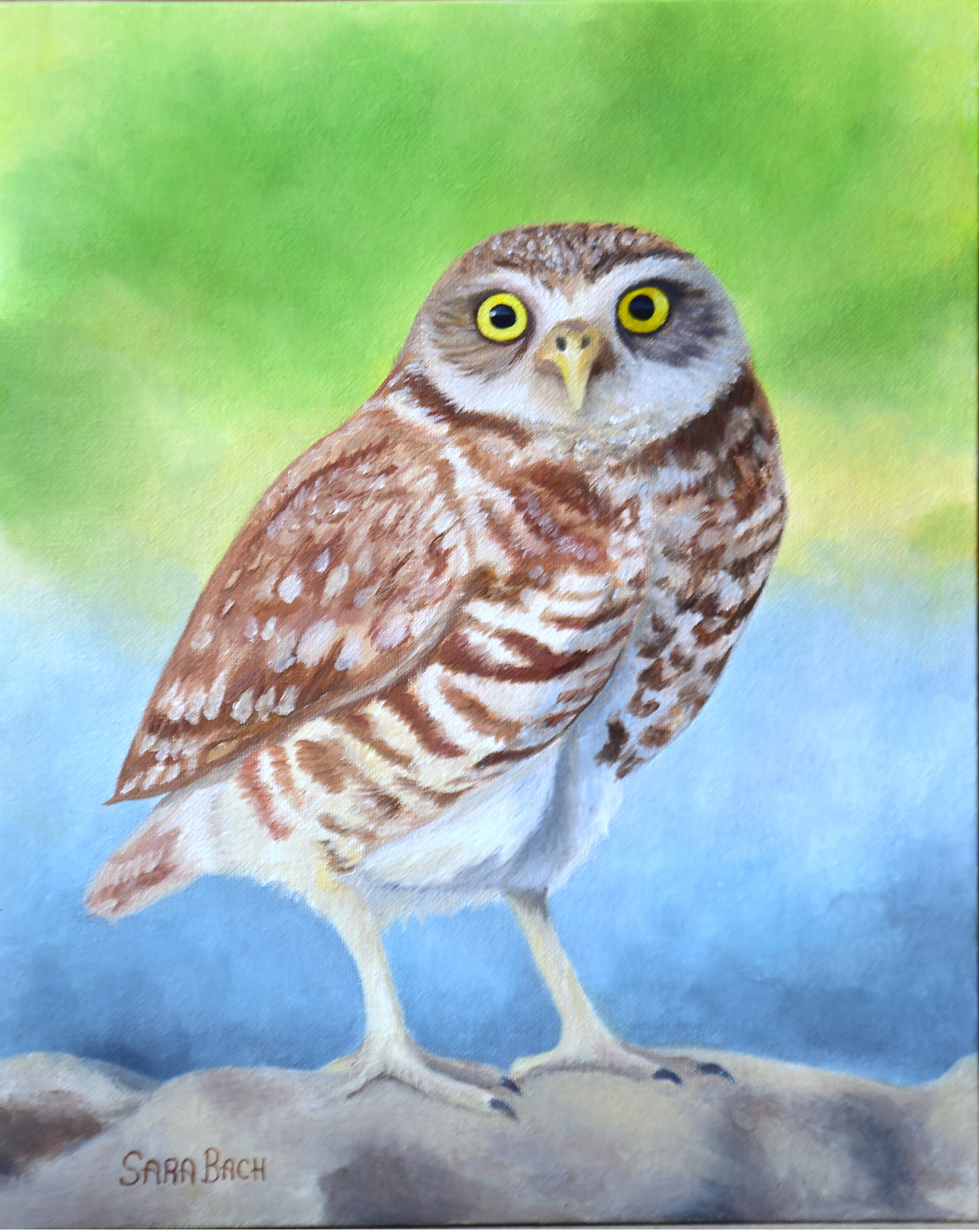 Burrowing Owl Oil Painting &ndash; Original Wildlife Art, 11x14 Realistic Bird Portrait