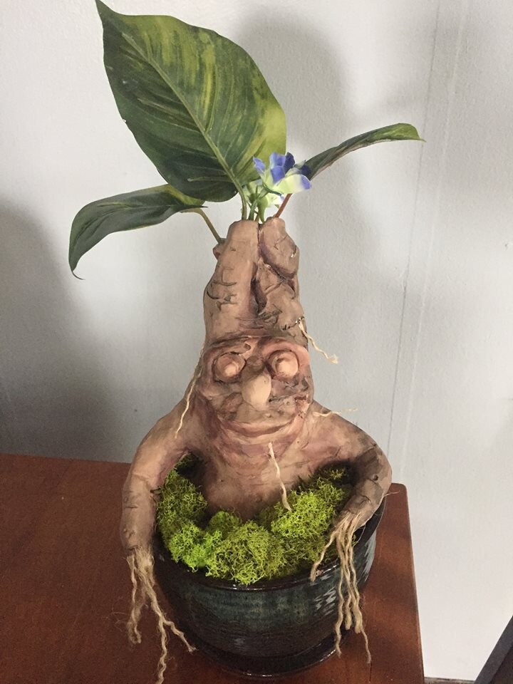 Big Hand Sculpted Magical Mandrake Root Harry Potter Mandrake Etsy