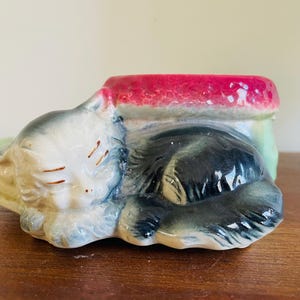 May include: A ceramic planter shaped like a sleeping cat. The cat is painted in shades of black, white, and gray. The planter has a pink and green rim.
