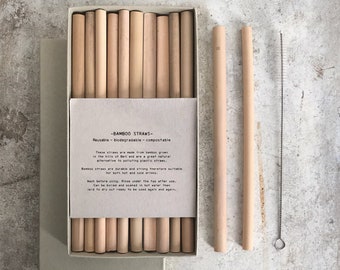 10 Bamboo Straws with Brush / Set of Natural Straws in a Box / Biodegradable ECO Straws