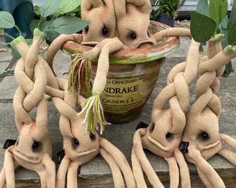 Mandrakes