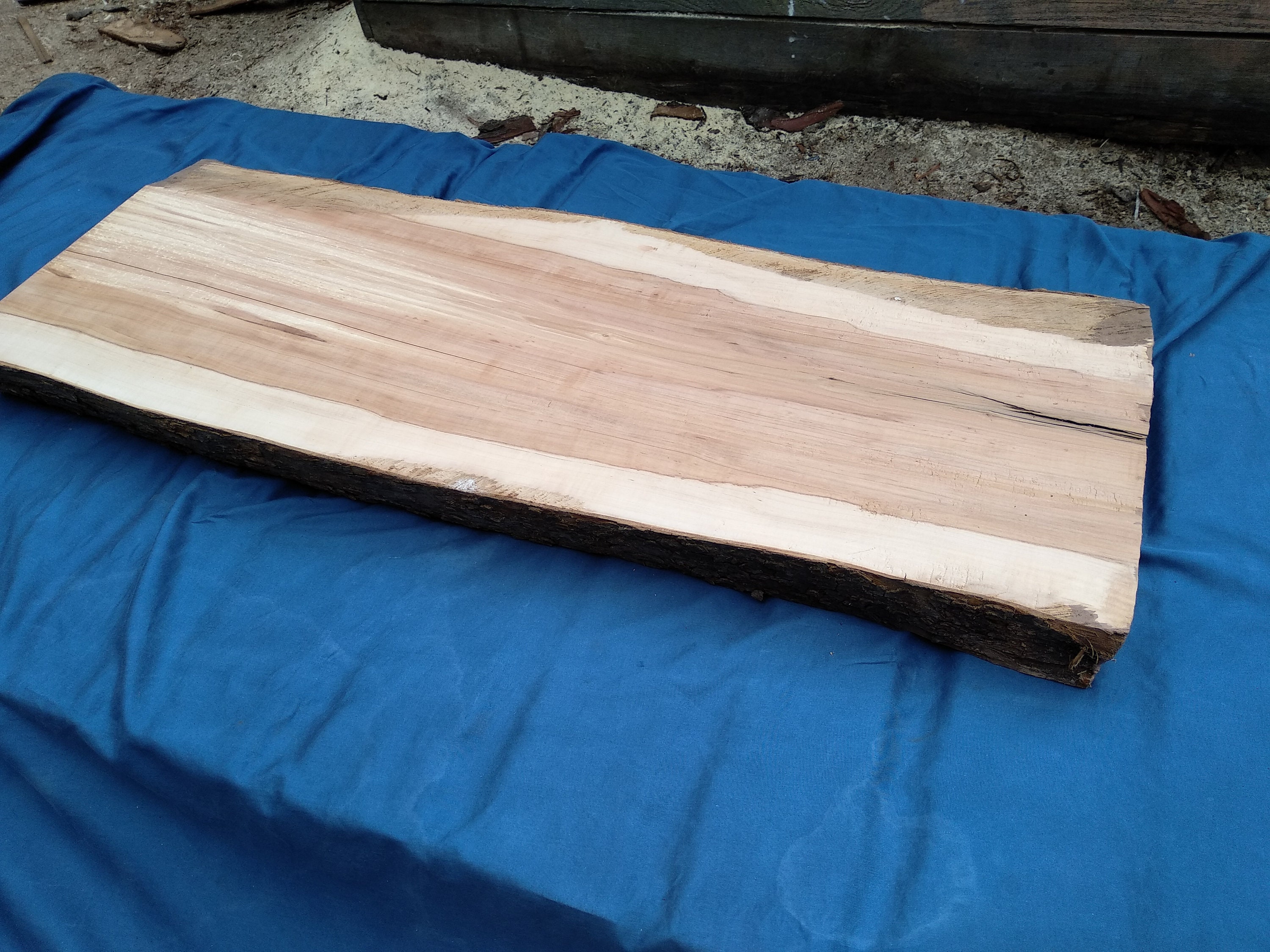 Wood Slab Apple Wood Slab Live Edge Slab Live Edge Wood Etsy