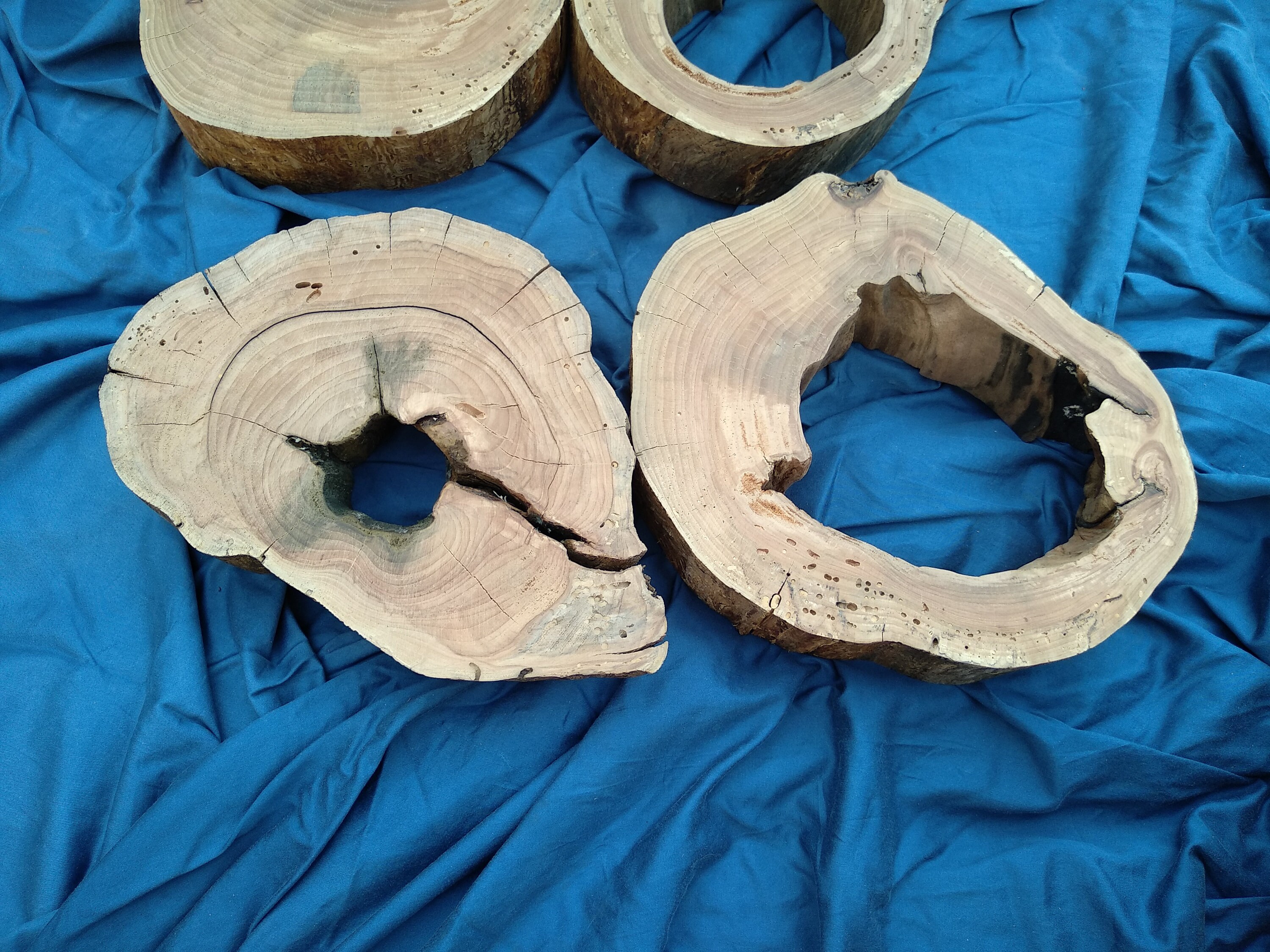 Apple Wood Slab Live Edge Slab Live Edge Slice Wood Live Etsy