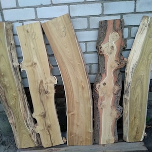 Polished Acacia Live Edge Wood Slab: Unfinished Rustic Board