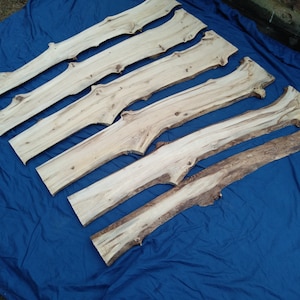 6 Elm Wood Boards Set, Thin Slabs for DIY Craft, Resin Projects, Natural Live Edge Hardwood Supply, Unique Craft Supplies for Resin