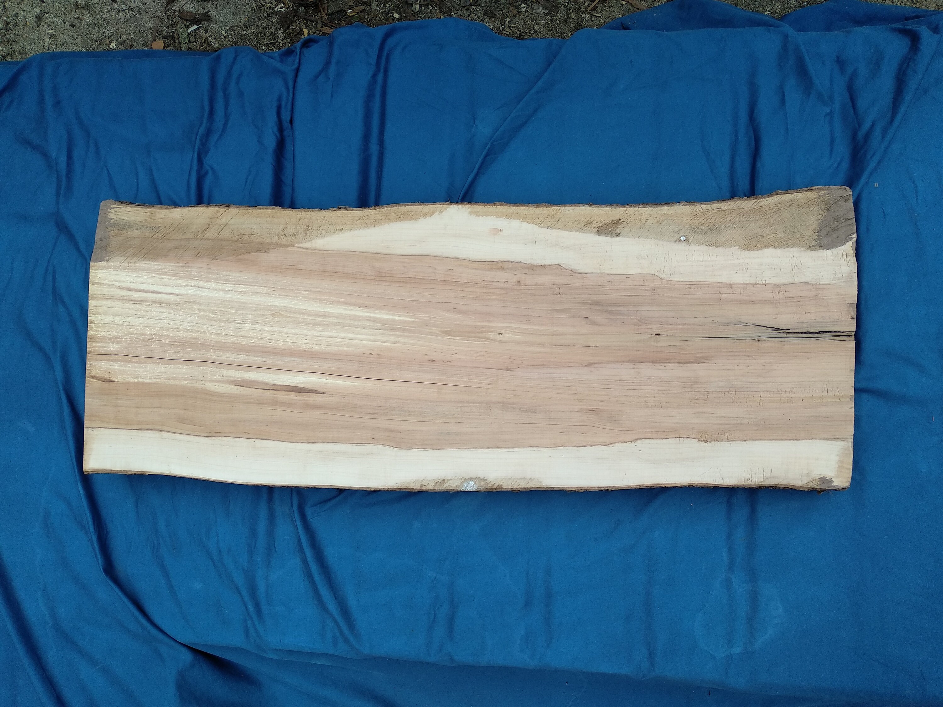 Wood Slab Apple Wood Slab Live Edge Slab Live Edge Wood Etsy