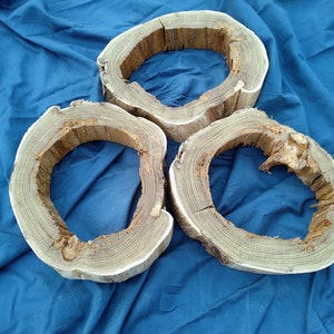 Acacia Wood Slices, Hollow Wood for Epoxy Resin, Raw Wood for Resin, Wood Cookies Wood Slices, Large Wood Round Live Edge, Live Edge Slices