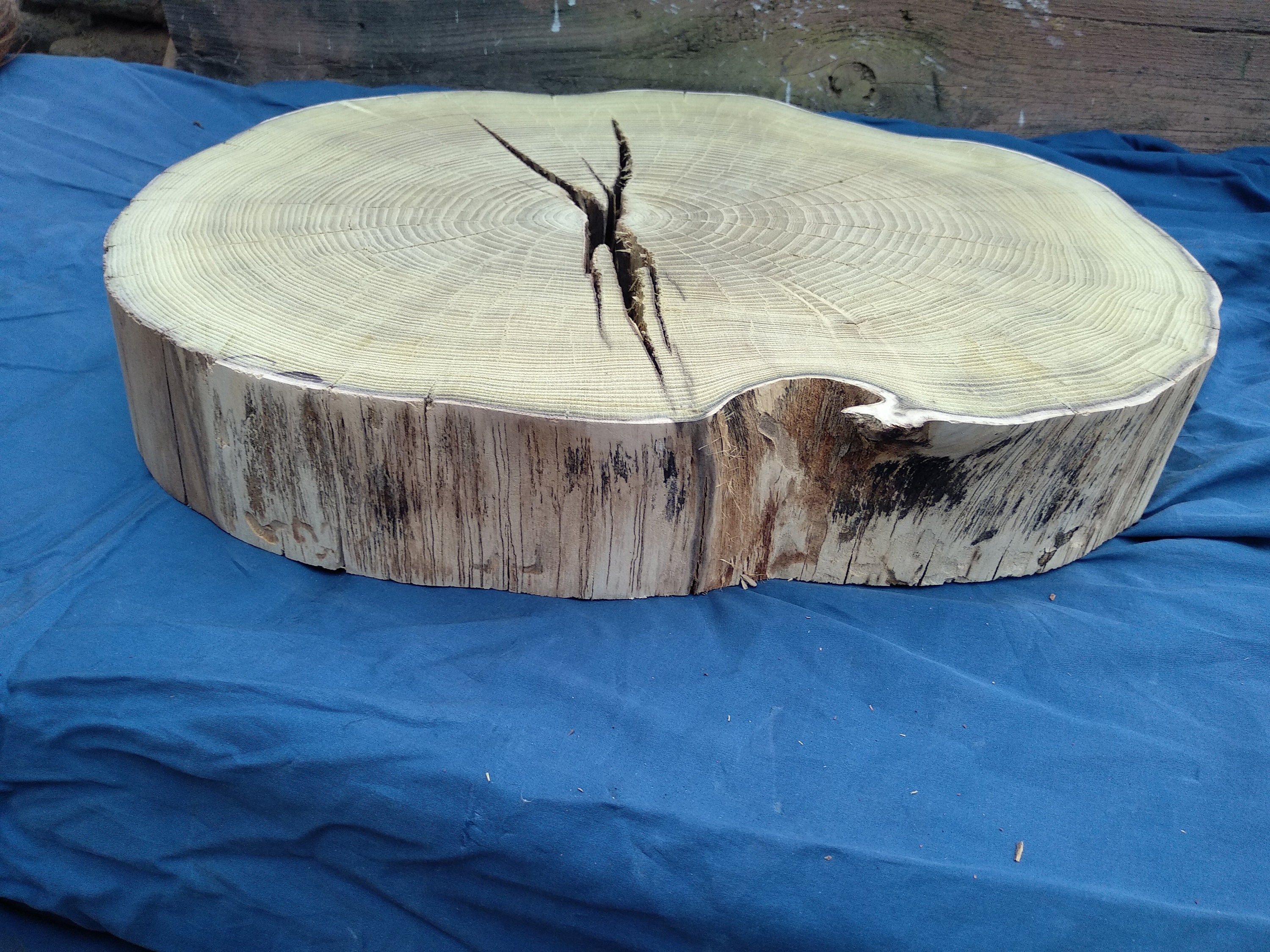 Acacia Wood Slab Live Edge Acacia Slab Wood Slab Table Etsy