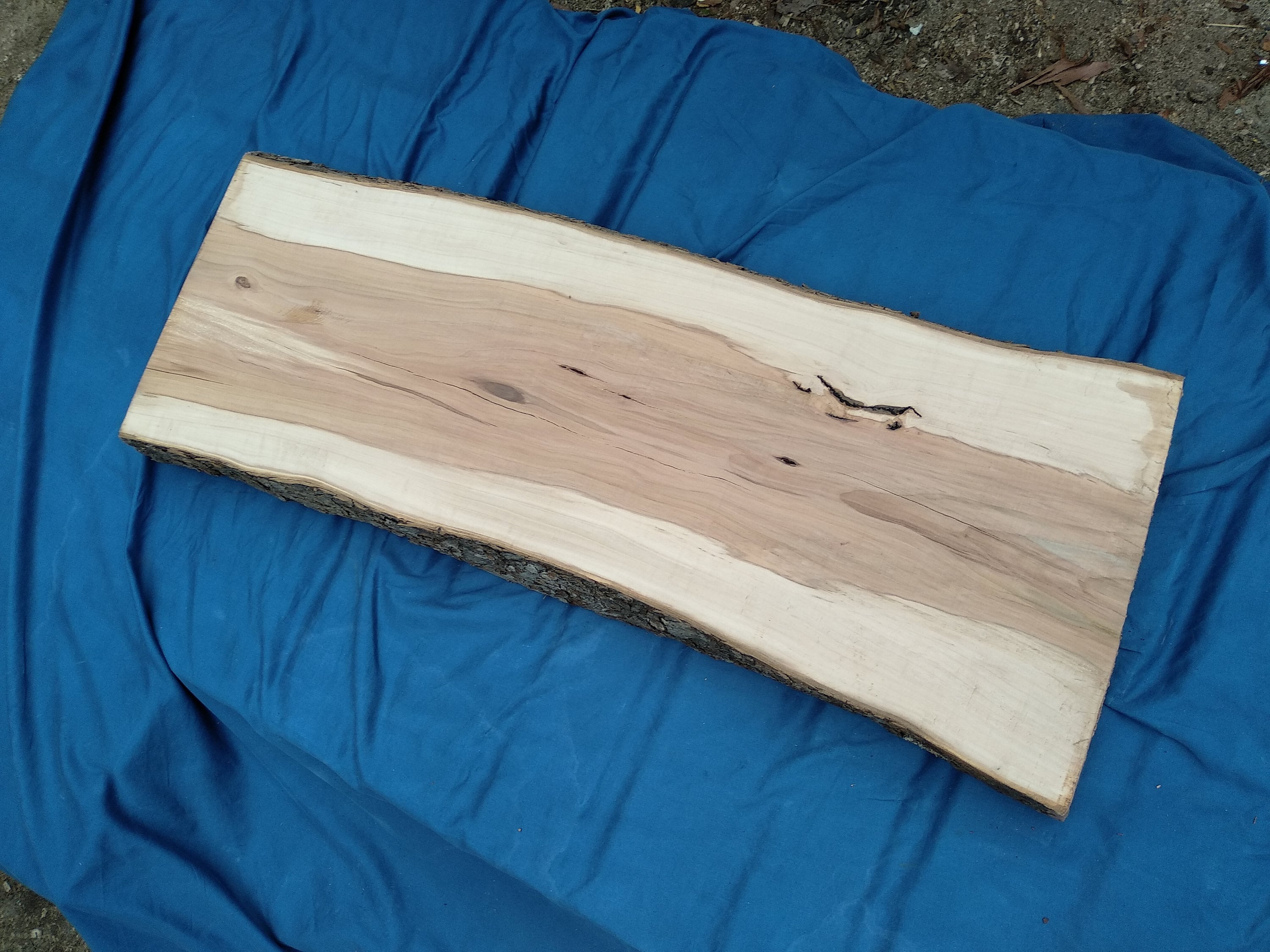 Wood Slab Apple Wood Slab Live Edge Slab Live Edge Wood Etsy