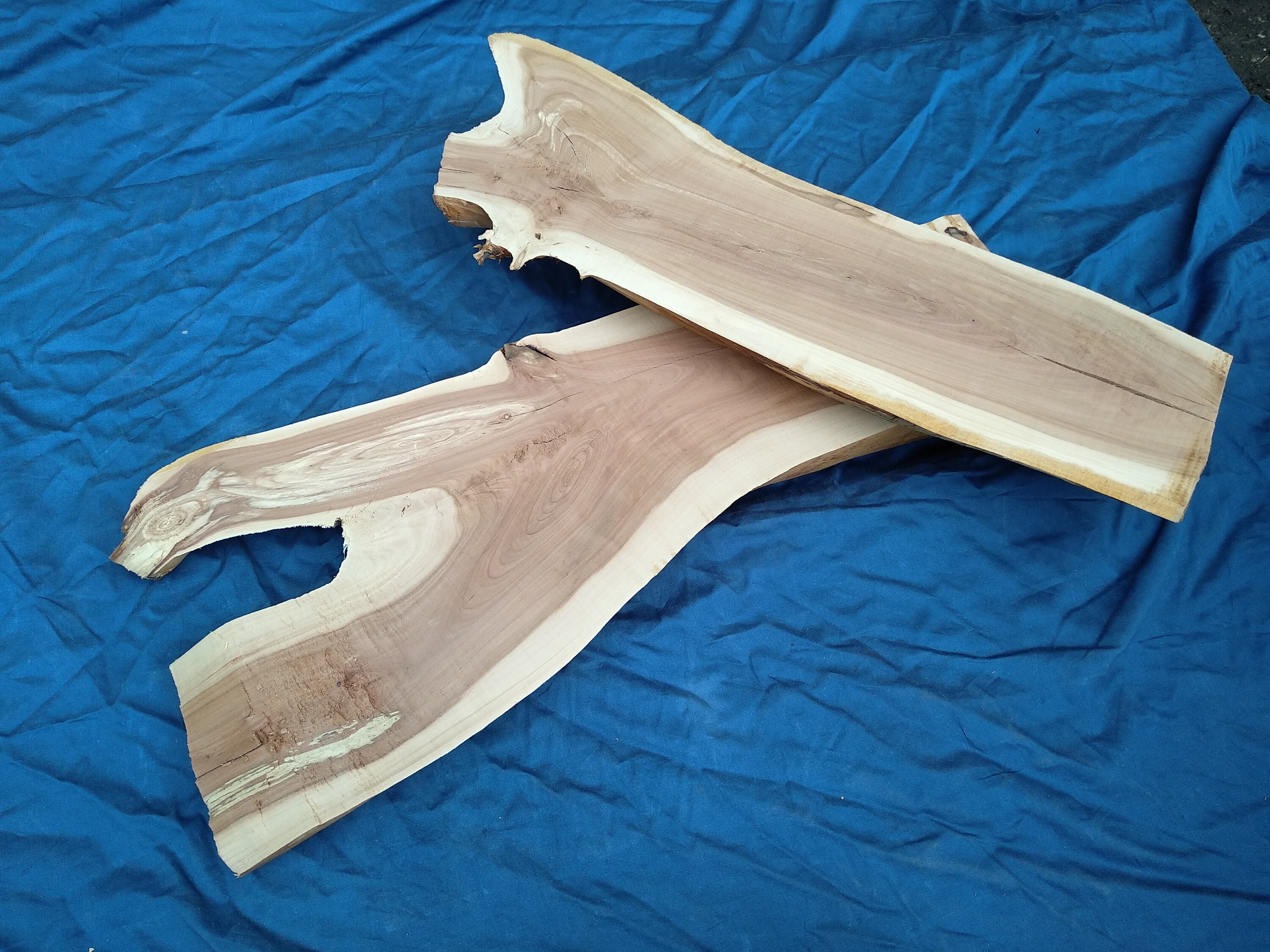 Apple Wood Live Slab Wood Slab Slab Table Wood Live Edge Etsy