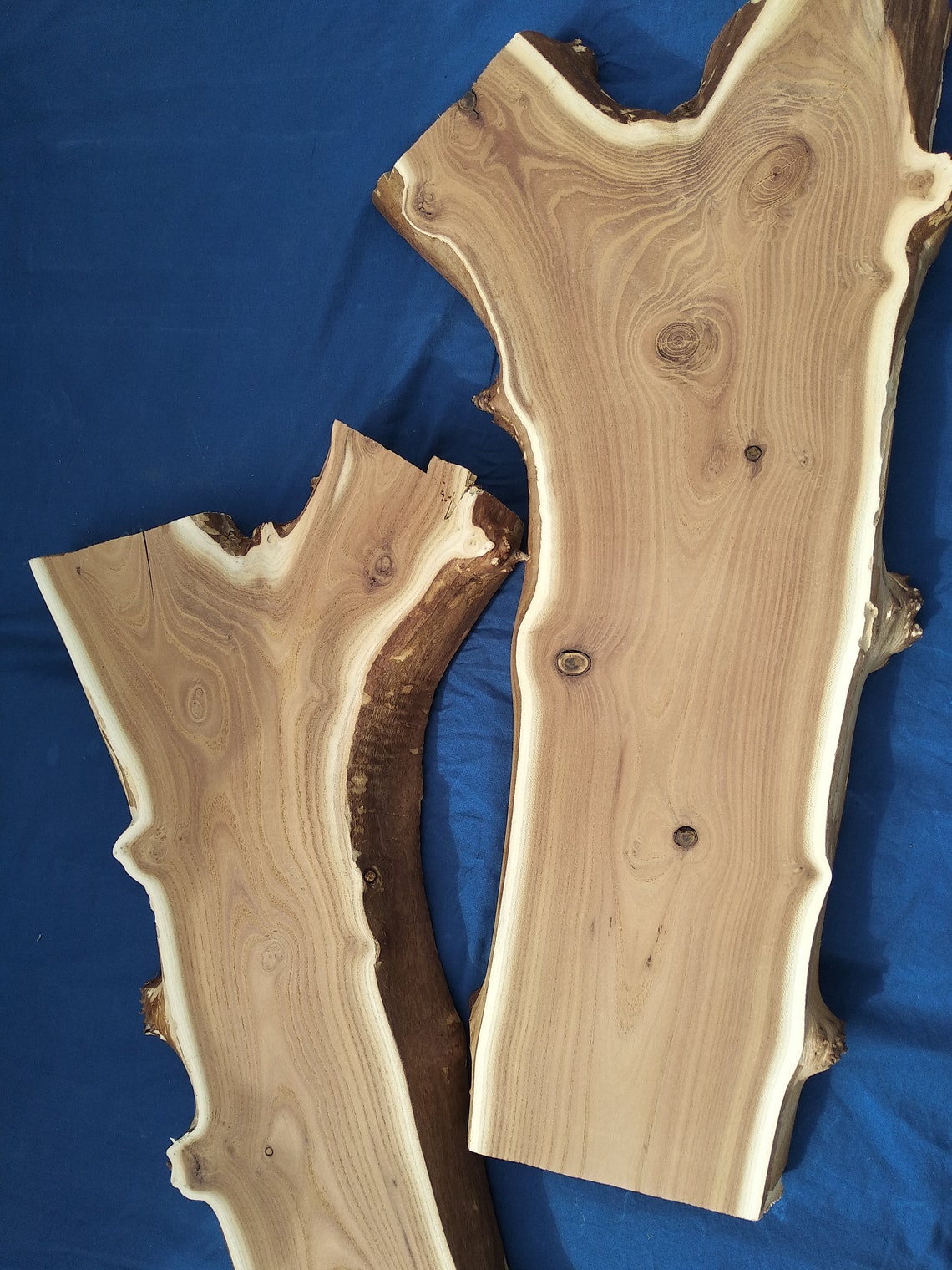 Olive Wood Slab Live Edge Slabs Unfinished Live Edge Burl Etsy