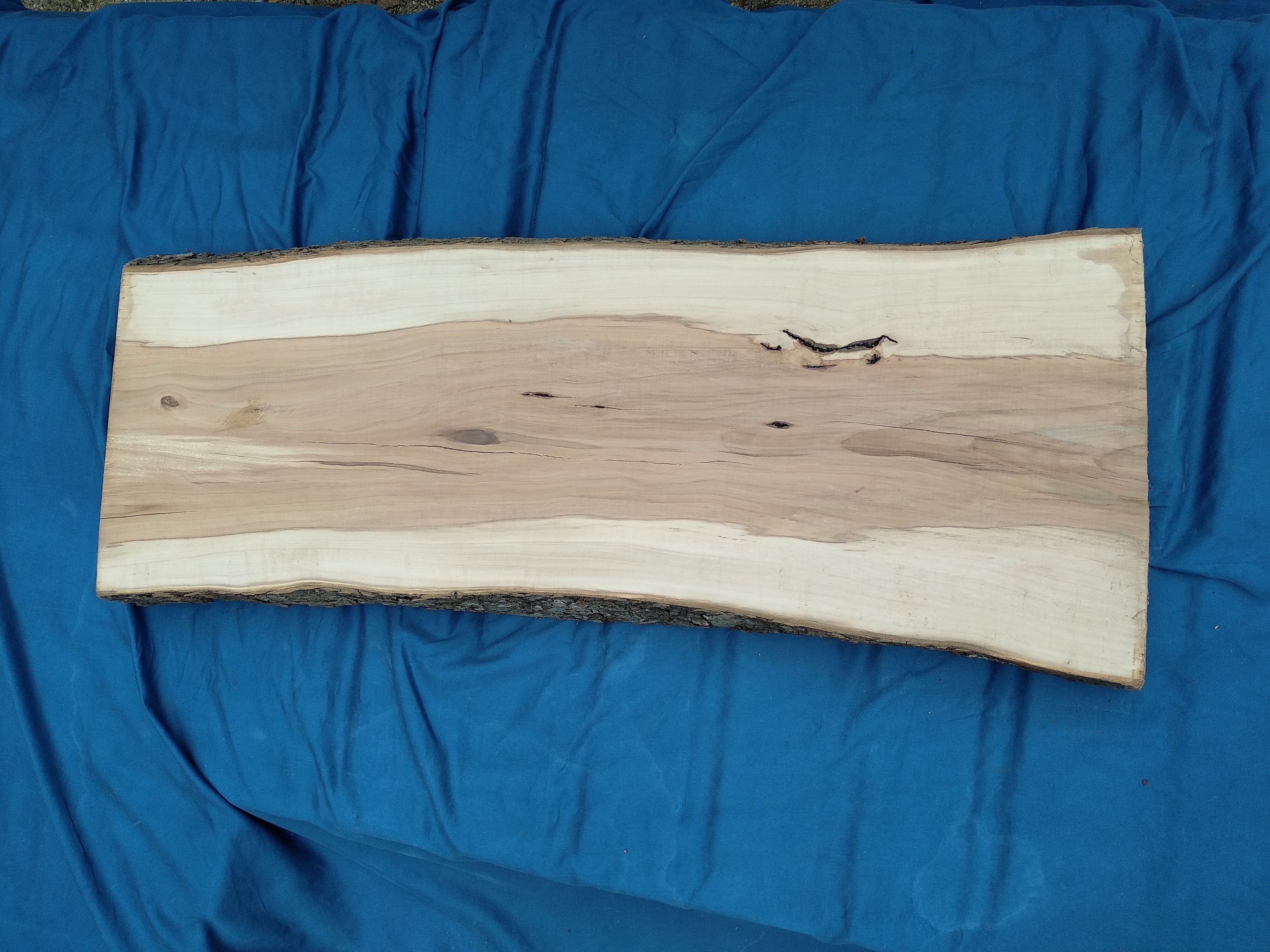 Wood Slab Apple Wood Slab Live Edge Slab Live Edge Wood Etsy