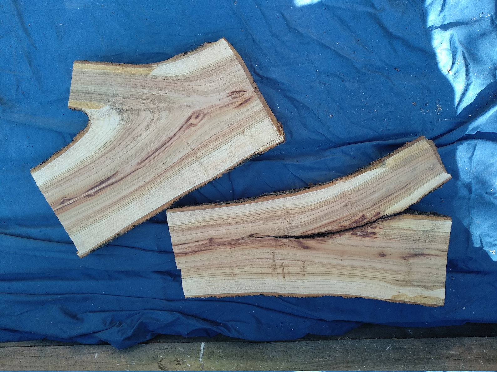 JUST Apricot Wood Live Edge Slab Live Edge Wood Slab Wood Etsy