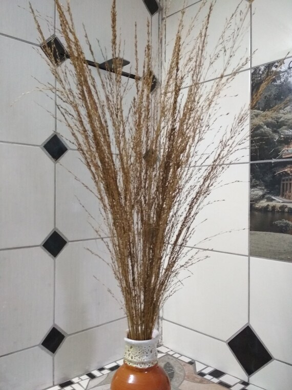 Natural Branches Brown Branches Dried Branches Dried Decor Etsy