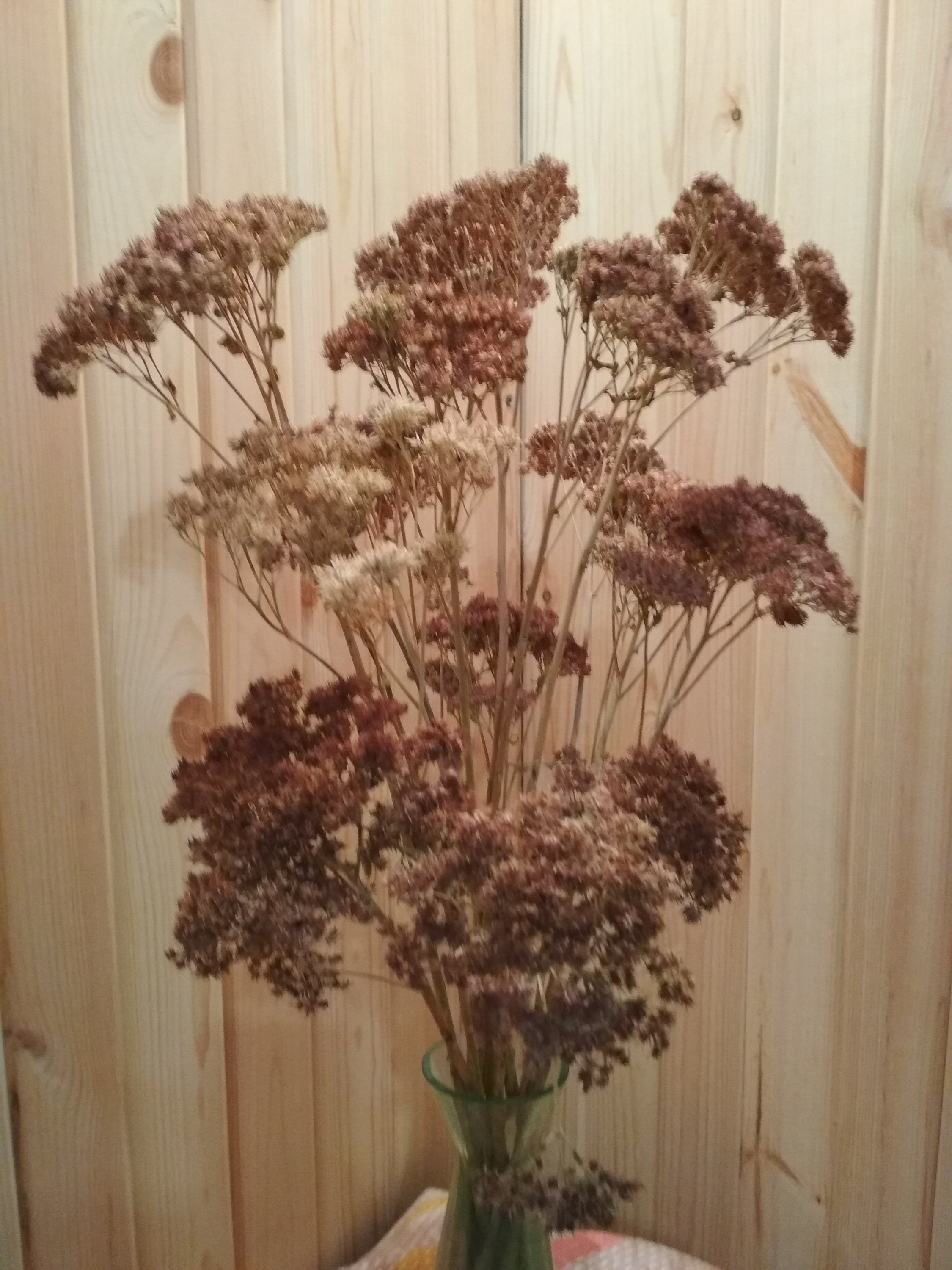 Dried Flower Bunch Dried Floral Bunch Dried Flowers Filler Etsy