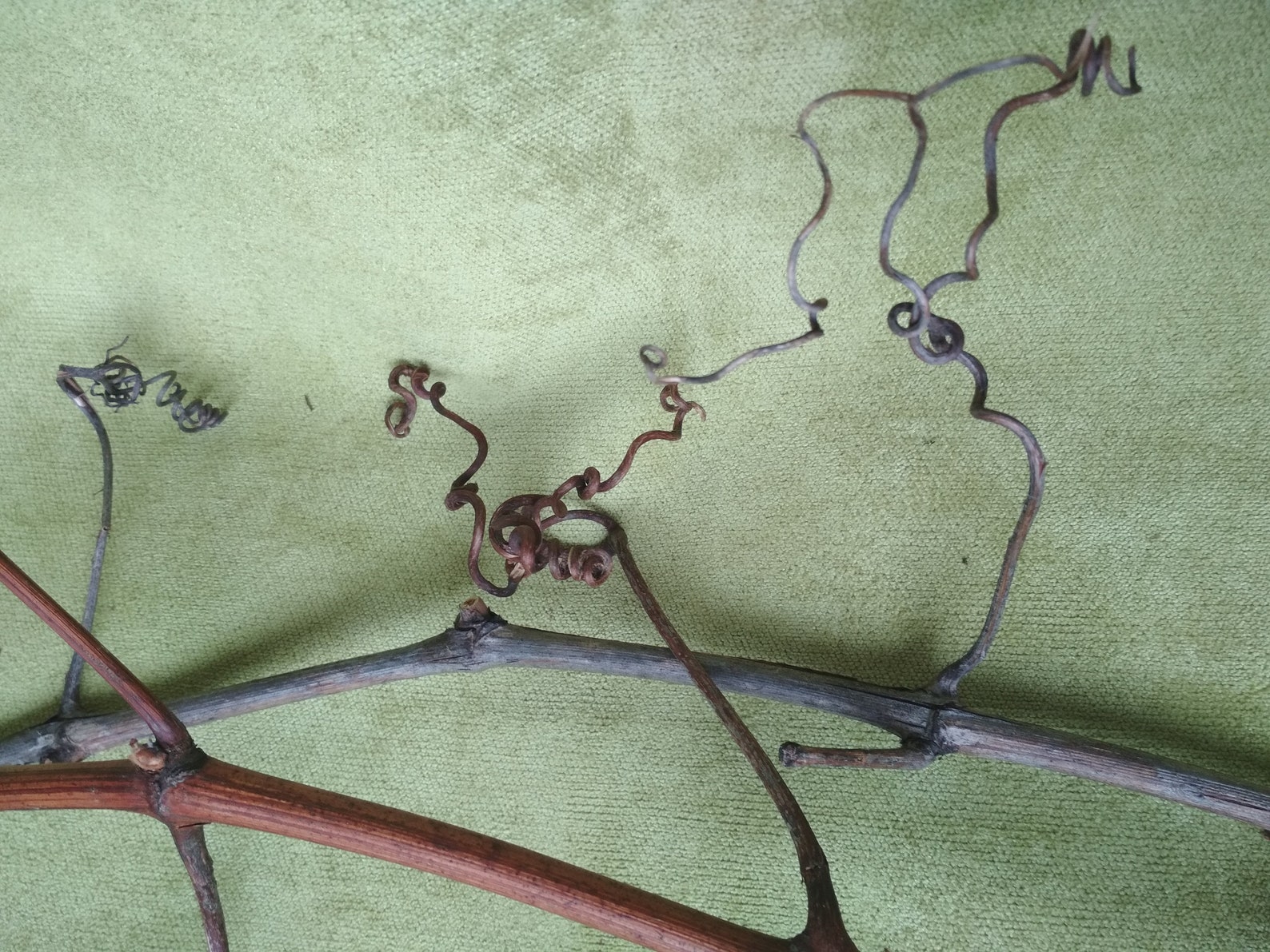 Branches Natural Decor Wood Home Decor Sticks Wedding Etsy