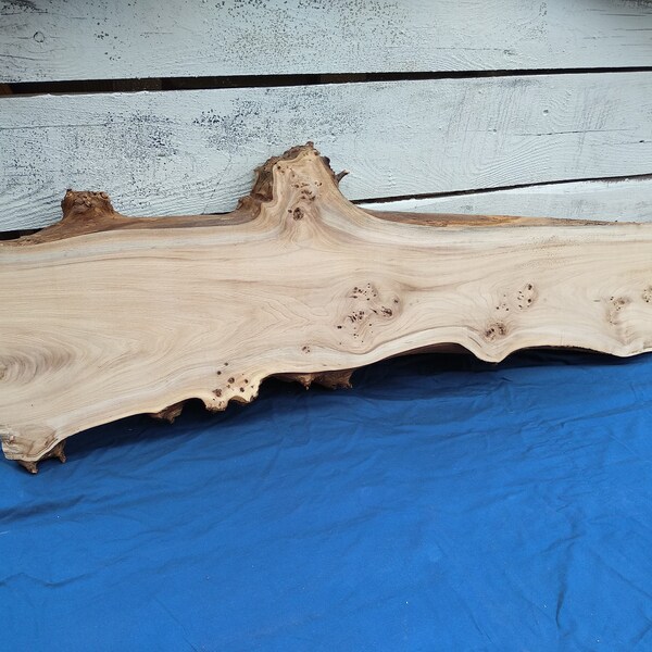 Slab Wood, Elm Slab, Slab Table, Live Edge Slab, Table à manger, Table à manger Slab, Table basse Live Edge, Wood Slab, Diy Wood, Burl Slab