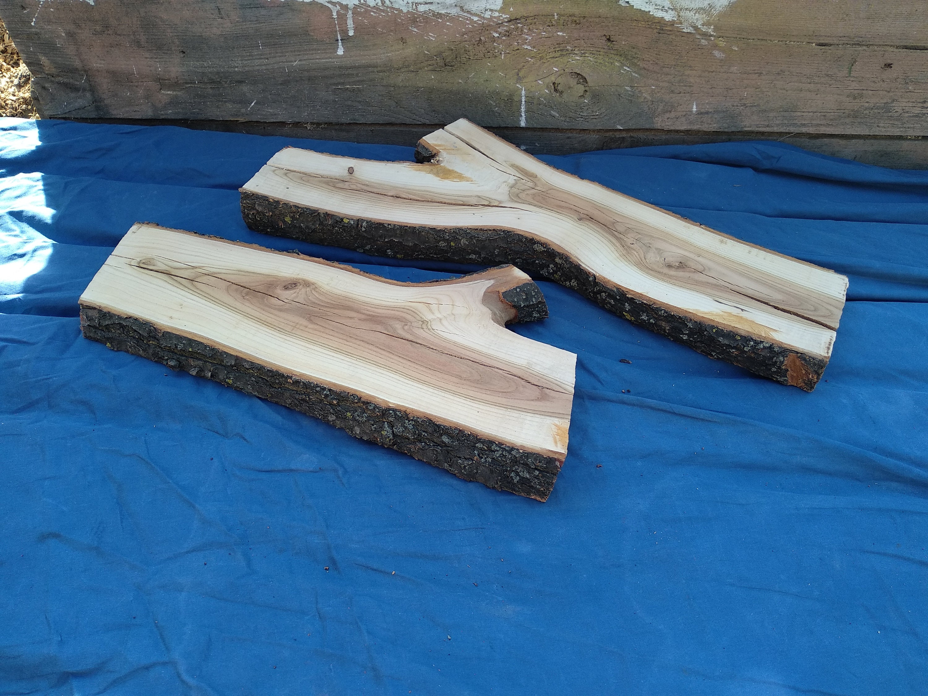 Wood Slab Live Edge Slab Wood Slabs Live Edge Wood Slab Etsy