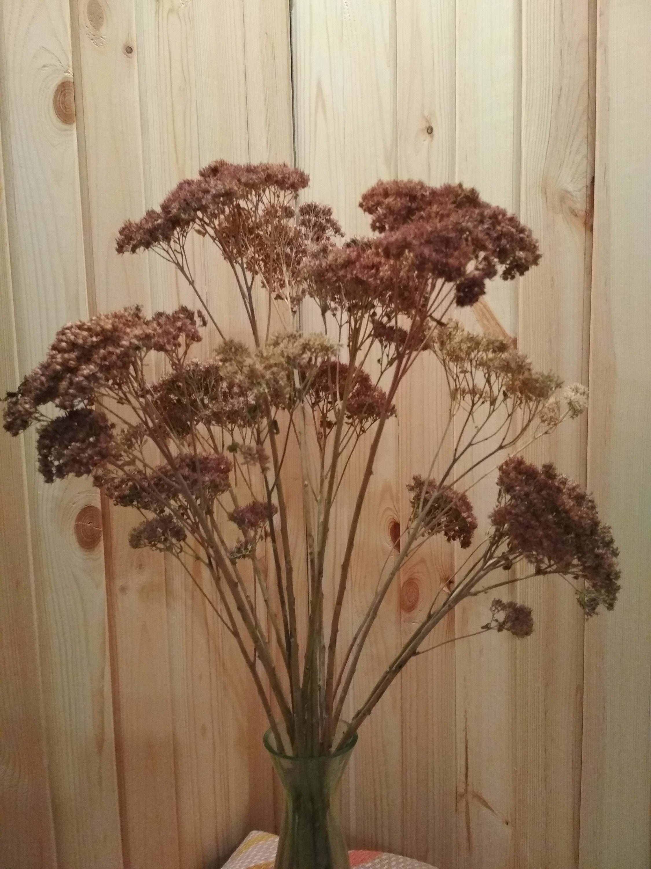 Dried Flower Bunch Dried Floral Bunch Dried Flowers Filler Etsy