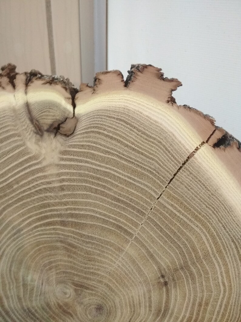 Baby Shower Decor Wood Slab Wedding Decoration Wood Slices Natural Slice Cupcake Stand Wood 9/'/' Acacia Wood Slice For Centerpieces