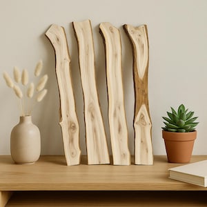 Elm Burl Wood Plank – Natural Live-Edge Slab for DIY & Home Décor