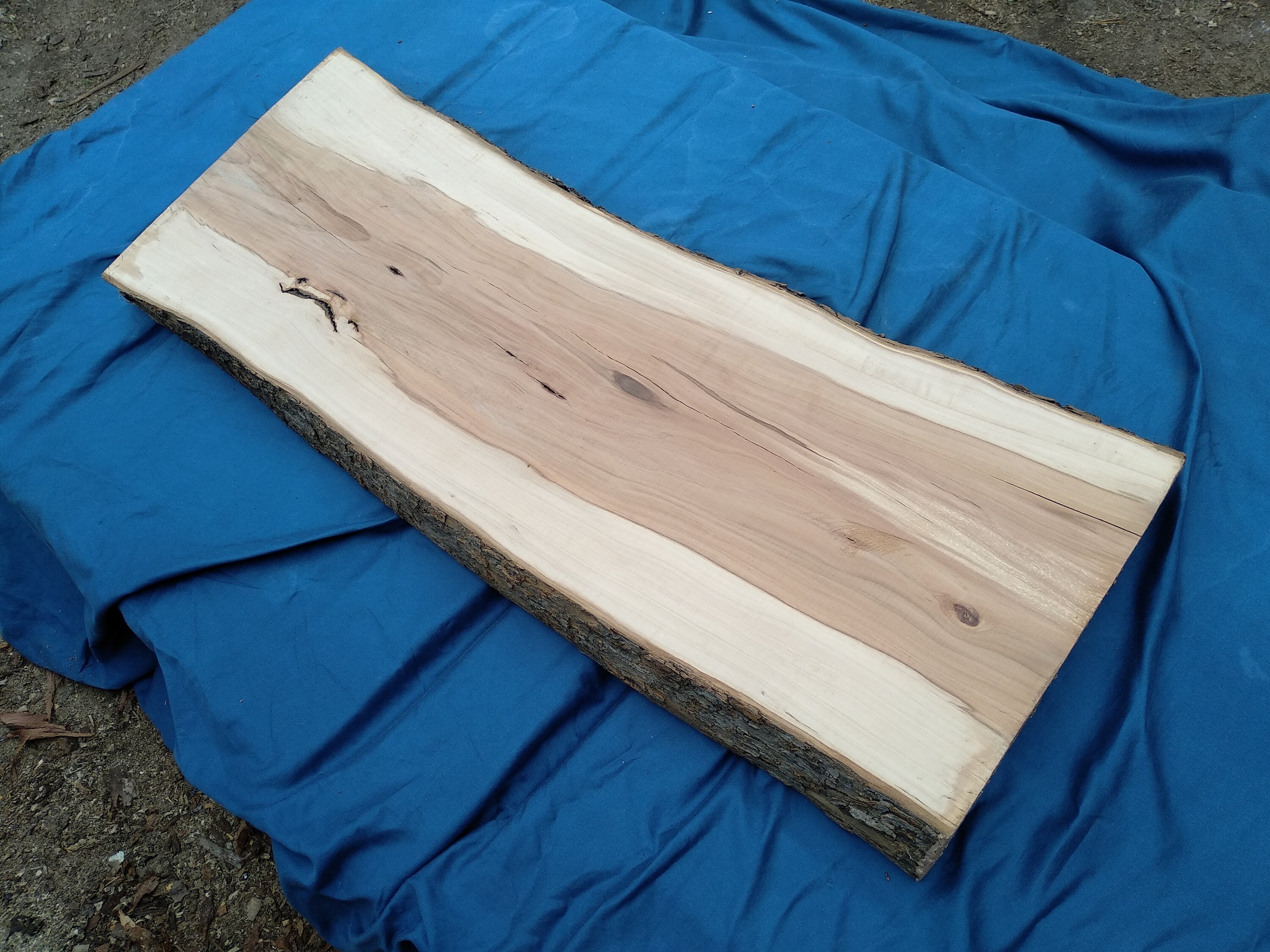 Wood Slab Apple Wood Slab Live Edge Slab Live Edge Wood Etsy