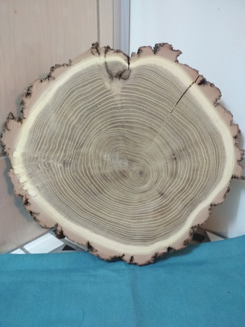 Baby Shower Decor Wood Slab Wedding Decoration Wood Slices Natural Slice Cupcake Stand Wood 9/'/' Acacia Wood Slice For Centerpieces
