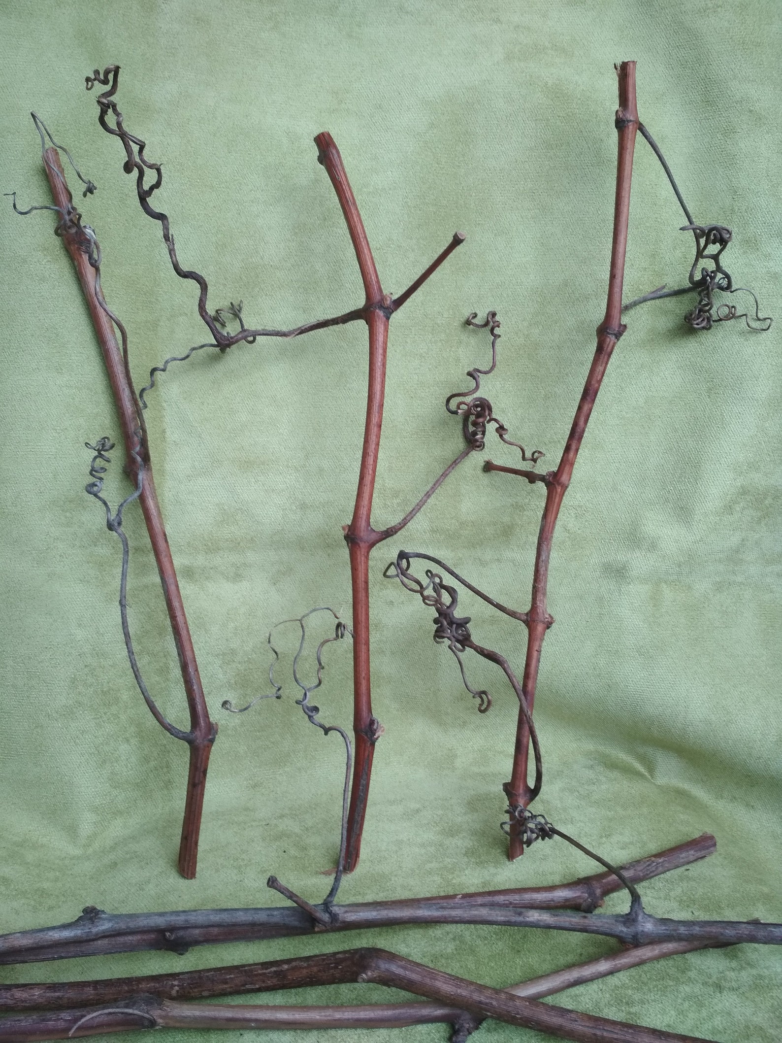 Branches Natural Decor Wood Home Decor Sticks Wedding Etsy