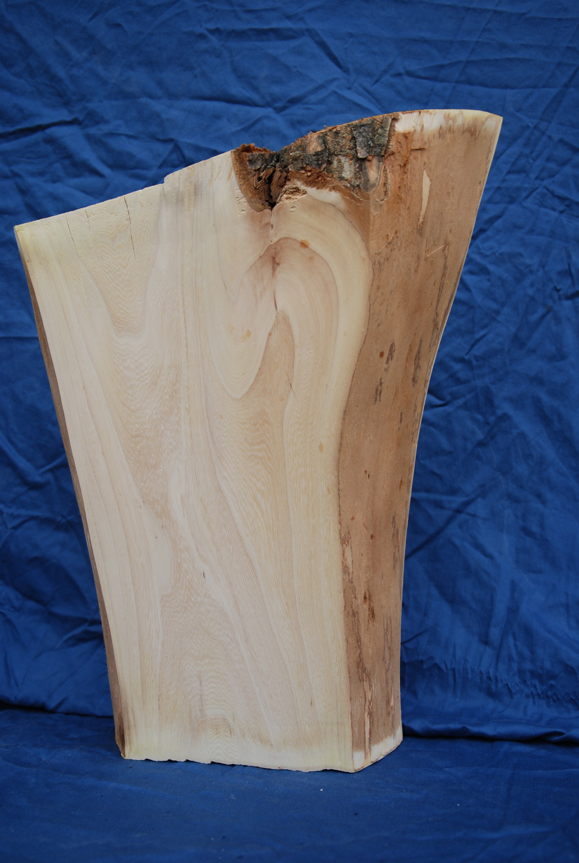 Elm Wood Slab Wood Slab Live Edge Slab Slab Wood Live Wood Etsy