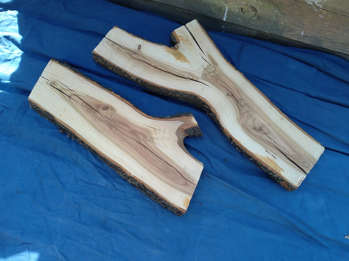 Wood Slab Live Edge Slab Wood Slabs Live Edge Wood Slab Etsy