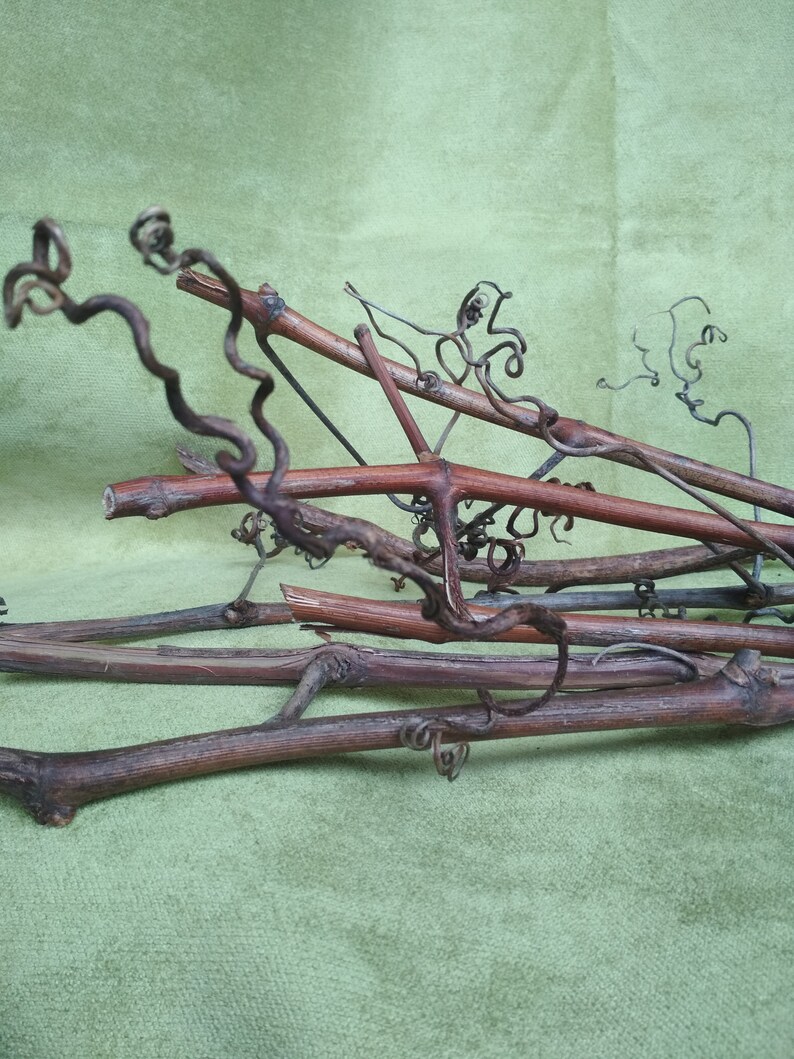 Branches Natural Decor Wood Home Decor Sticks Wedding Etsy