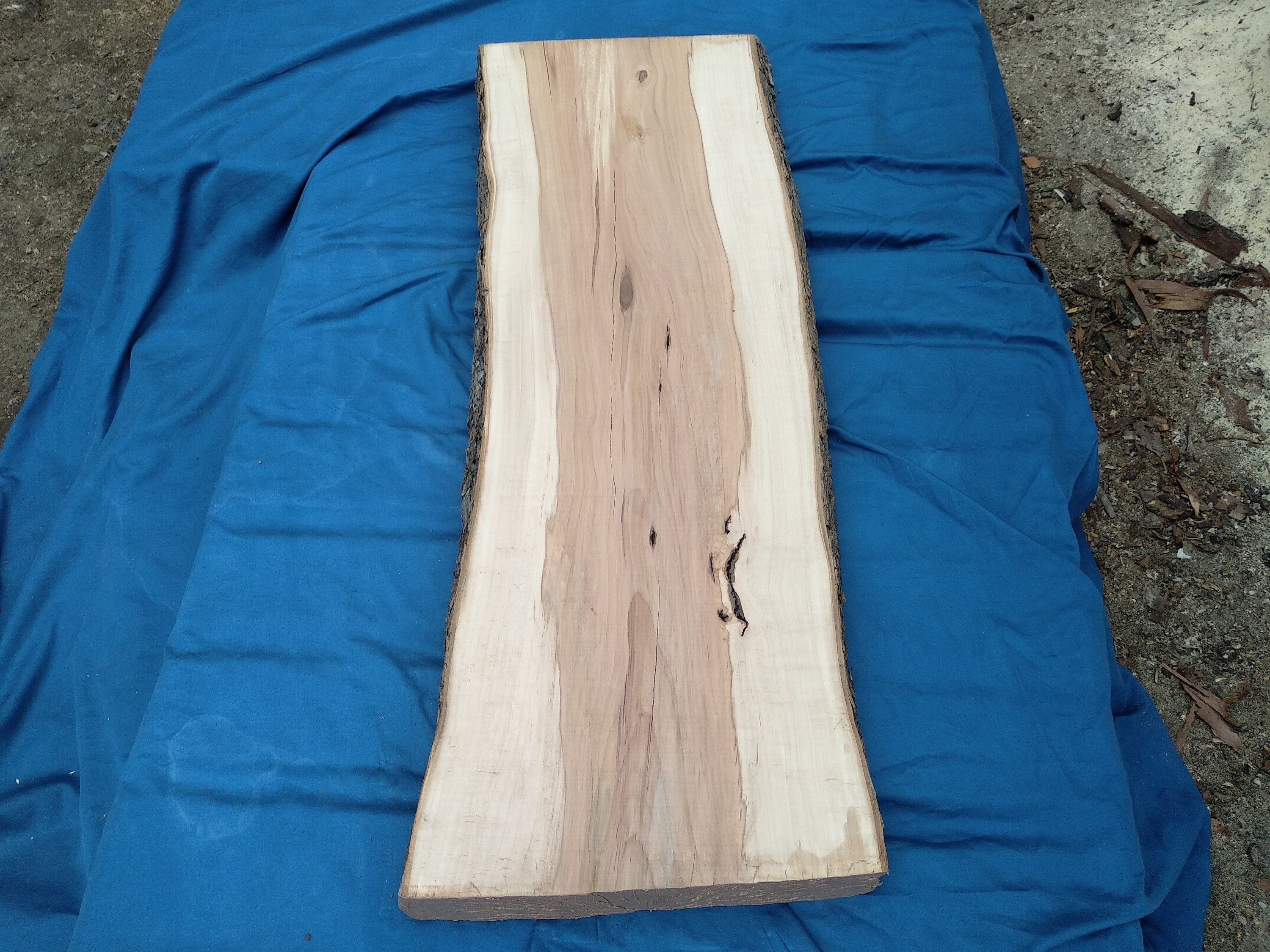 Wood Slab Apple Wood Slab Live Edge Slab Live Edge Wood Etsy