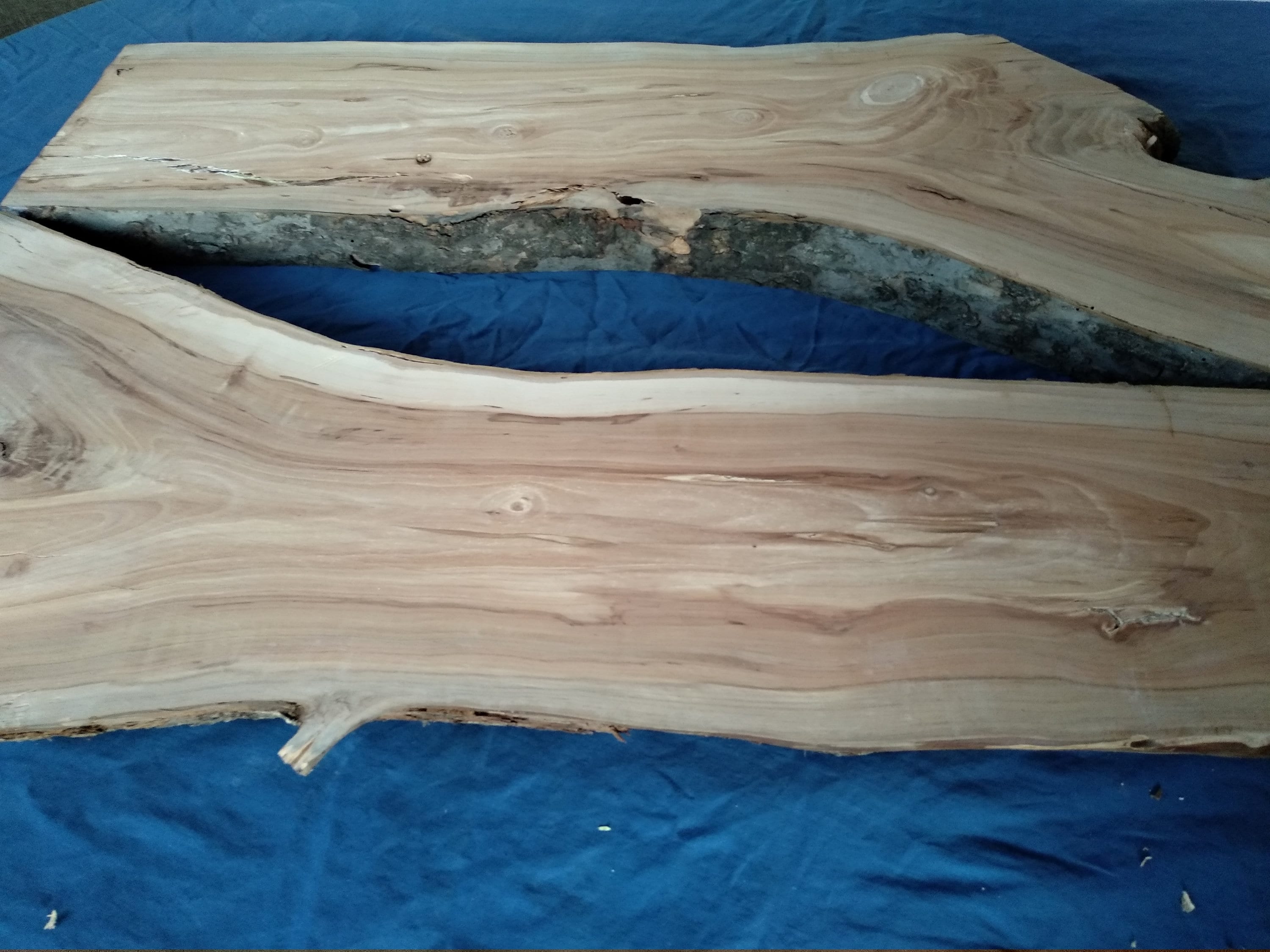 Live Edge Slab Raw Wood Slab Burl Wood Live Edge Wood Slab Etsy Canada