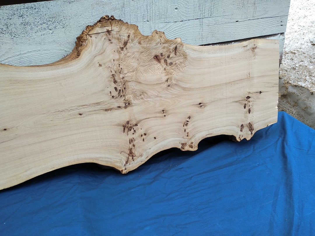 Elm Wood Slab Burl Slab Wood Wood Slab Live Edge Slab Burl Etsy