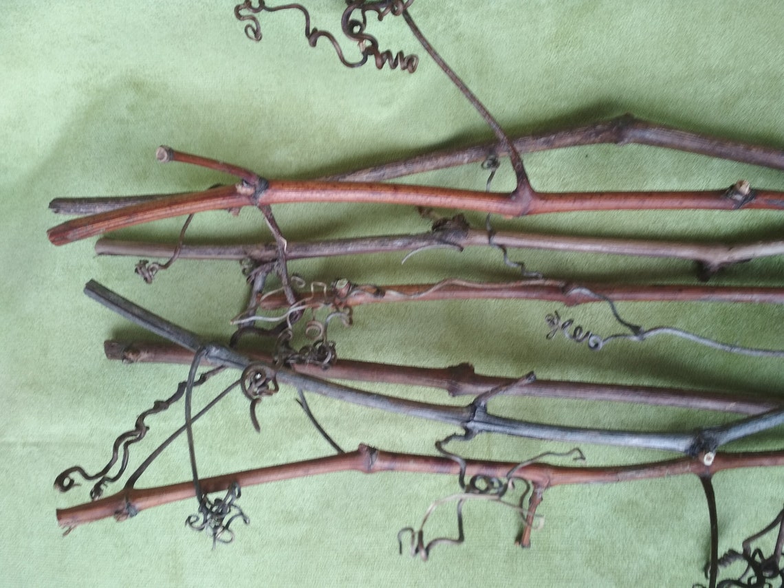 Branches Natural Decor Wood Home Decor Sticks Wedding Etsy