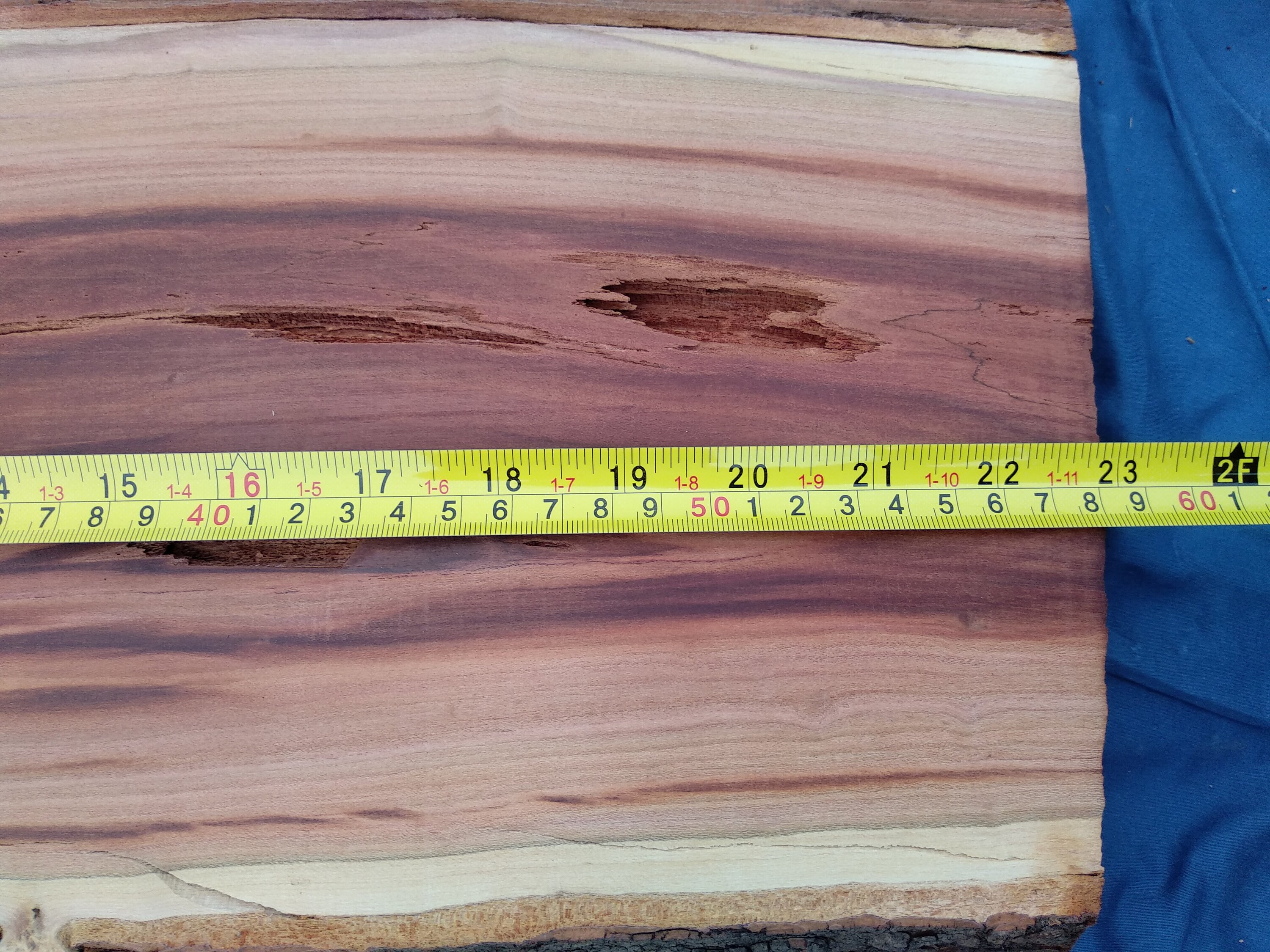 Plum Wood Slab Redwood Slab Slab Table Slab Coffee Table Etsy