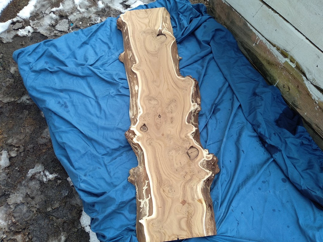 Live Edge Olive Burl Wood Slab Live Edge Wood Slab Olive Etsy