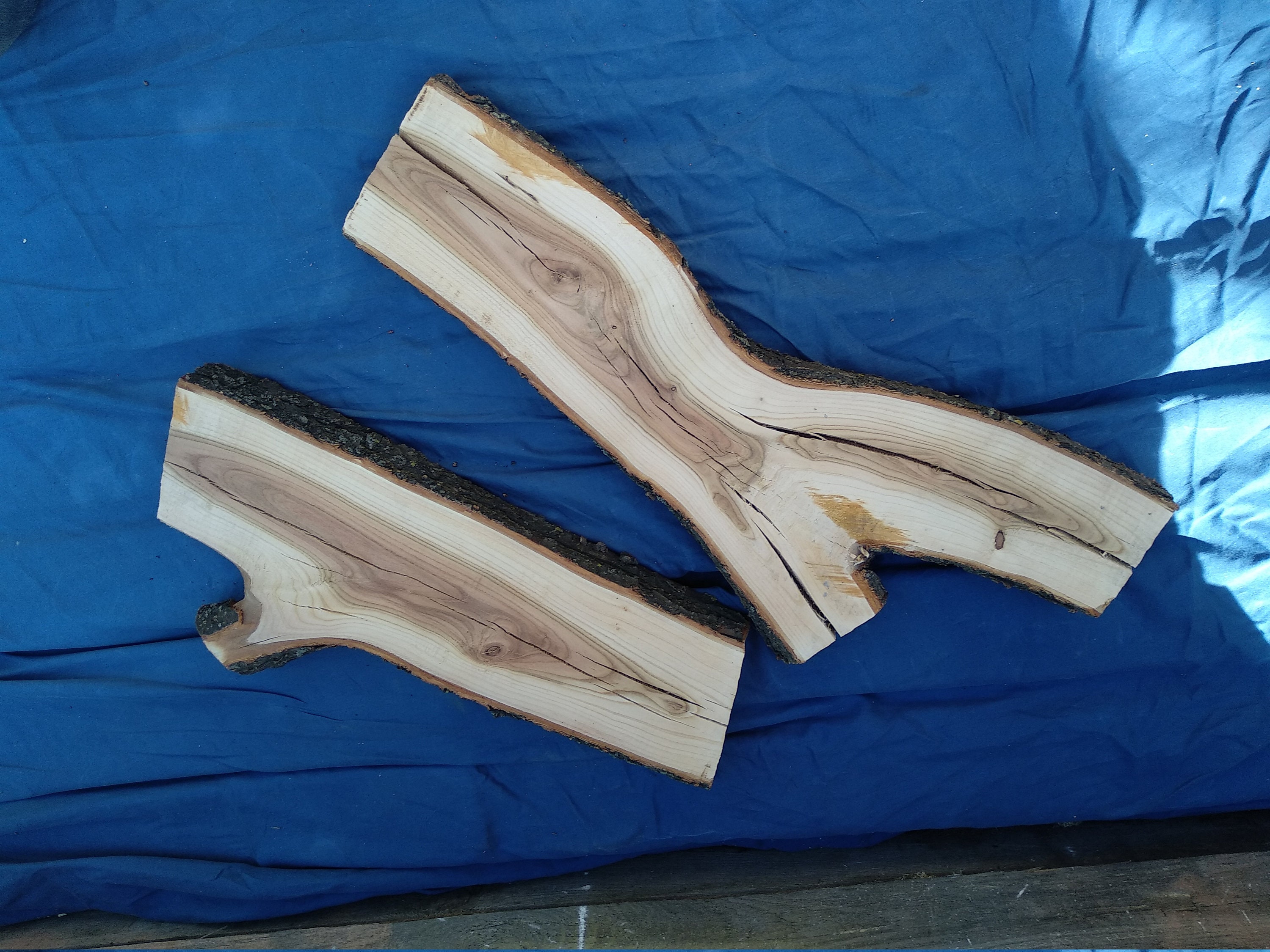 Wood Slab Live Edge Slab Wood Slabs Live Edge Wood Slab Etsy