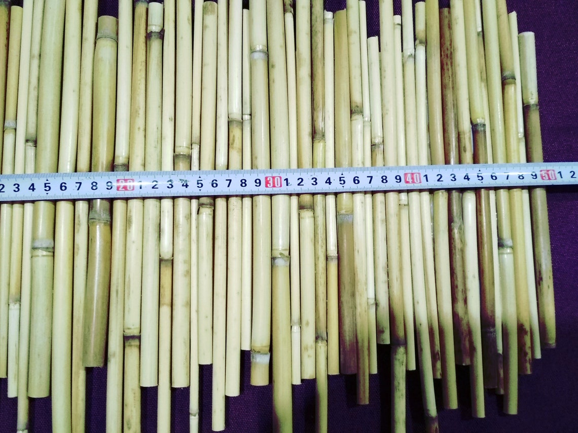 Reed decor Unique wall decor Cane decor Decorative element Etsy