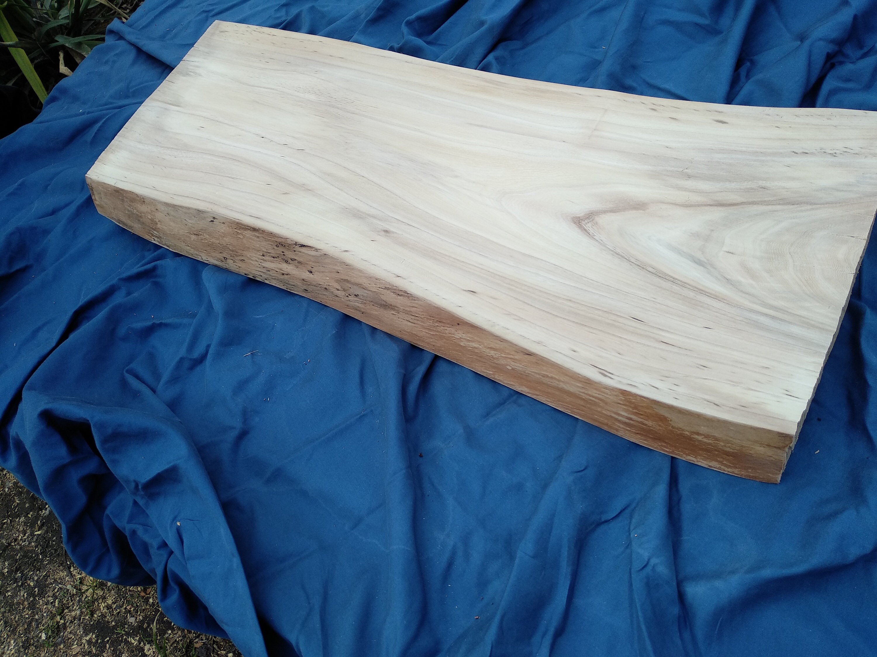 Elm Wood Live Edge Slab Wood Slab Raw Wood Slab Elm Slab Etsy