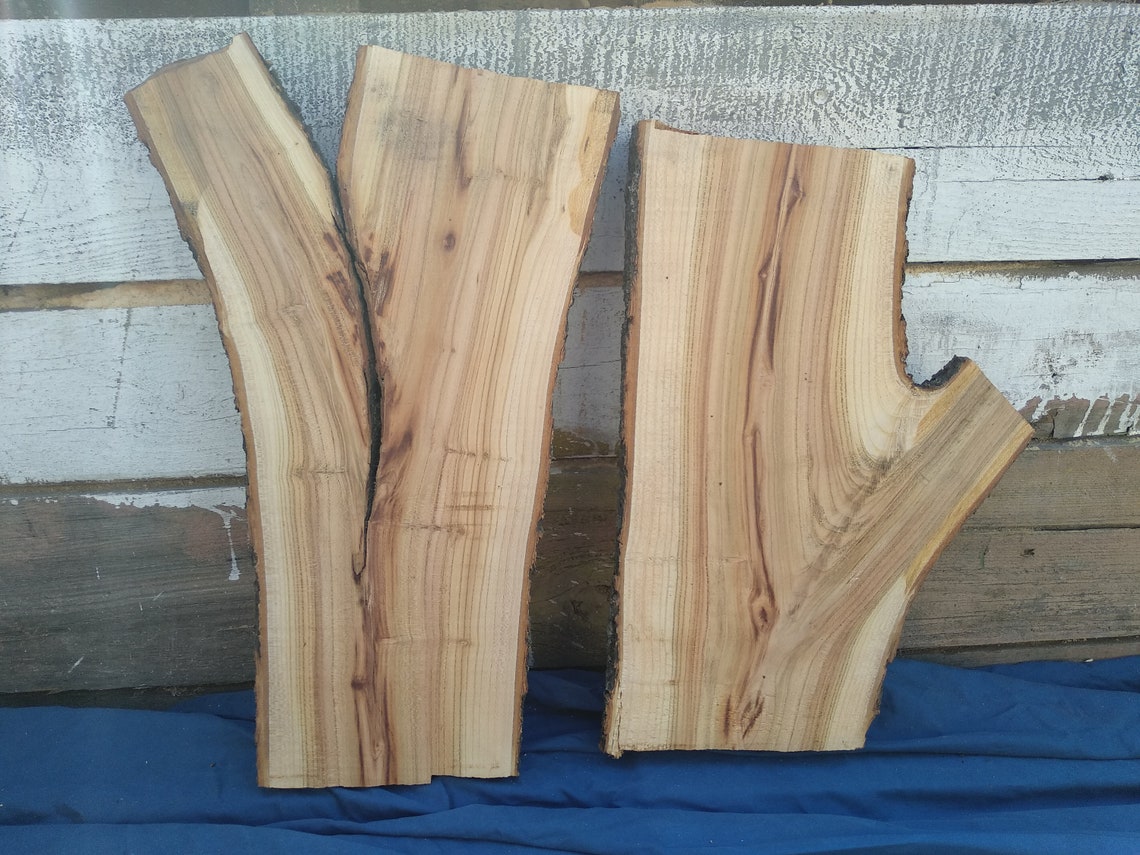 JUST Apricot Wood Live Edge Slab Live Edge Wood Slab Wood Etsy